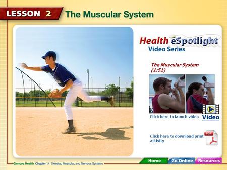 The Muscular System (1:51) Click here to launch video Click here to download print activity.