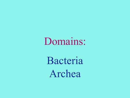 Domains: Bacteria Archea. Two Lineages Archaebacteria Eubacteria.