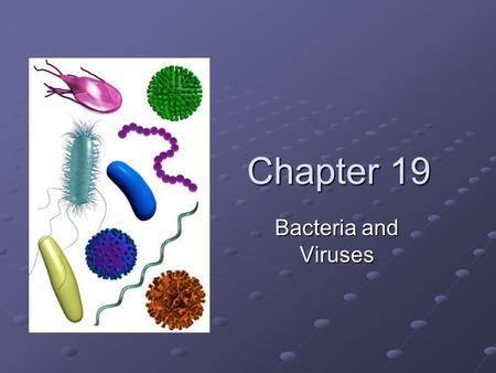 Chapter 19 Bacteria and Viruses. I. Prokaryotes A.Prokaryotes: single-celled organisms that lack a nucleus 1. Eubacteria – walls contain peptidoglycan.