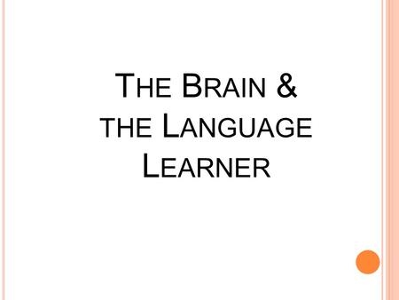 T HE B RAIN & THE L ANGUAGE L EARNER. How do babies learn differently from us?