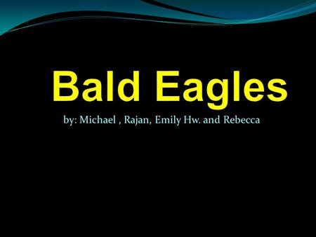 By: Michael, Rajan, Emily Hw. and Rebecca. Introduction Today we will tell about Bald Eagles. Bald Eagles are birds of prey. That means they are meat.