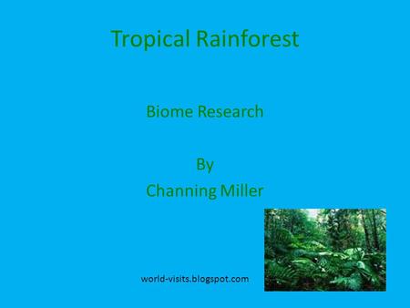 Tropical Rainforest Biome Research By Channing Miller world-visits.blogspot.com.