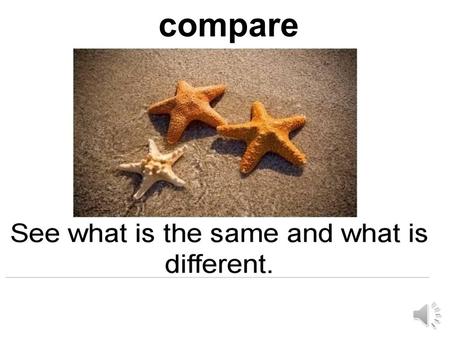 compare shape color the shade you see bigger smaller.