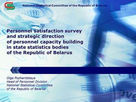 LOGO Personnel satisfaction survey and strategic direction of personnel capacity building in state statistics bodies of the Republic of Belarus National.