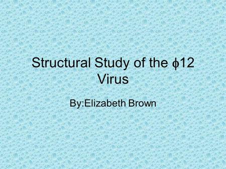 Structural Study of the  12 Virus By:Elizabeth Brown.