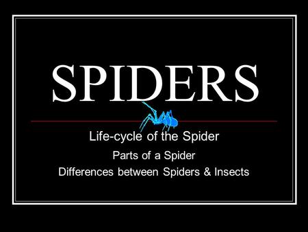 SPIDERS Life-cycle of the Spider Parts of a Spider Differences between Spiders & Insects.