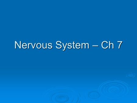 Nervous System – Ch 7.