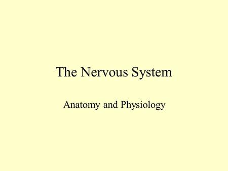 The Nervous System Anatomy and Physiology Nervous System Functions 1. Sensory-receptors gather information and pass it on toward the CNS 2. Integrative-in.
