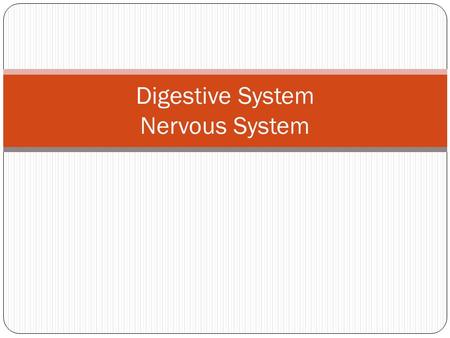 Digestive System Nervous System. The Digestive System.