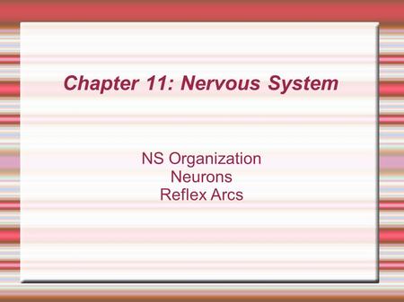 Chapter 11: Nervous System NS Organization Neurons Reflex Arcs.