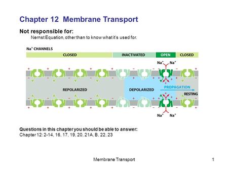 Membrane Transport1 Not responsible for: Nernst Equation, other than to know what it’s used for. Chapter 12 Membrane Transport Questions in this chapter.