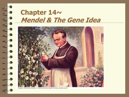 Chapter 14~ Mendel & The Gene Idea. Mendelian genetics 4 Trait –variant for a character ex: purple 4 True-breeding –all offspring same variety 4 Hybridization.