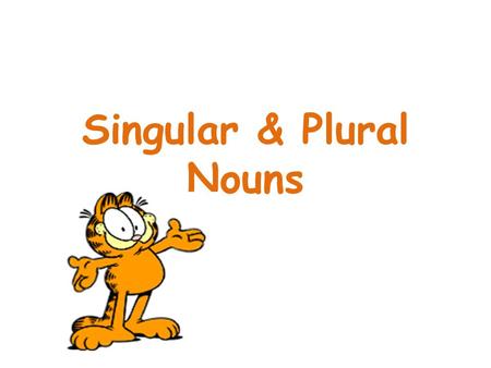 Singular & Plural Nouns