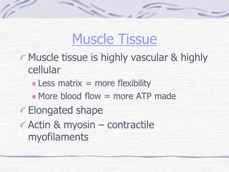 Muscle Tissue Muscle tissue is highly vascular & highly cellular Less matrix = more flexibility More blood flow = more ATP made Elongated shape Actin &