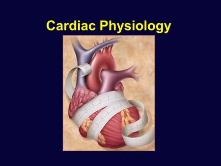 Cardiac Physiology.