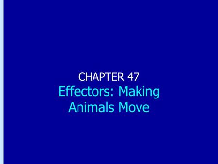 Chapter 47: Effectors: Making Animals Move CHAPTER 47 Effectors: Making Animals Move.