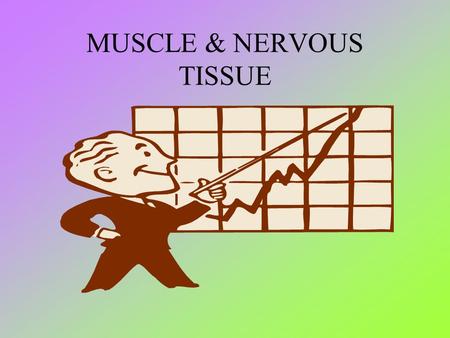 MUSCLE & NERVOUS TISSUE