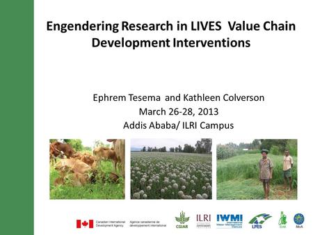 Engendering Research in LIVES Value Chain Development Interventions Ephrem Tesema and Kathleen Colverson March 26-28, 2013 Addis Ababa/ ILRI Campus.