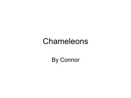 Chameleons By Connor. This is how I would describe the Chameleons. They eat bugs, blends into anything and they have a curly tail. The chameleons hibernate.