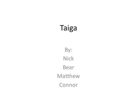 Taiga By: Nick Bear Matthew Connor. In the Taiga Biome the biotic factors help the animals by providing food for the consumer 1 which is eaten by the.