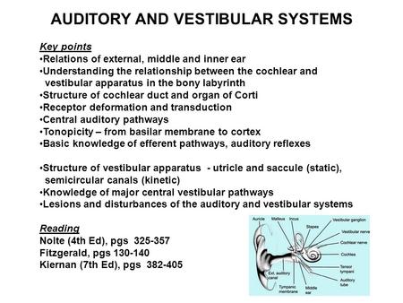 AUDITORY AND VESTIBULAR SYSTEMS
