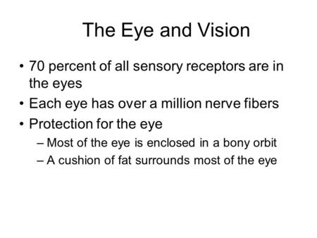 The Eye and Vision 70 percent of all sensory receptors are in the eyes