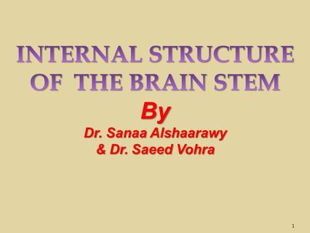 INTERNAL STRUCTURE OF THE BRAIN STEM By Dr. Sanaa Alshaarawy