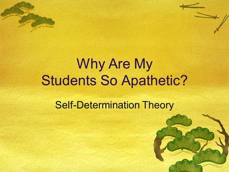 Why Are My Students So Apathetic? Self-Determination Theory.