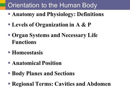 Orientation to the Human Body  Anatomy and Physiology: Definitions  Levels of Organization in A & P  Organ Systems and Necessary Life Functions  Homeostasis.