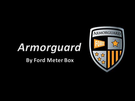 Armorguard By Ford Meter Box.