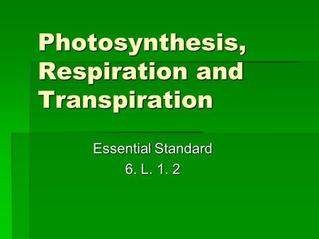 Photosynthesis, Respiration and Transpiration Essential Standard 6. L. 1. 2.