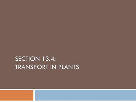SECTION 13.4: TRANSPORT IN PLANTS