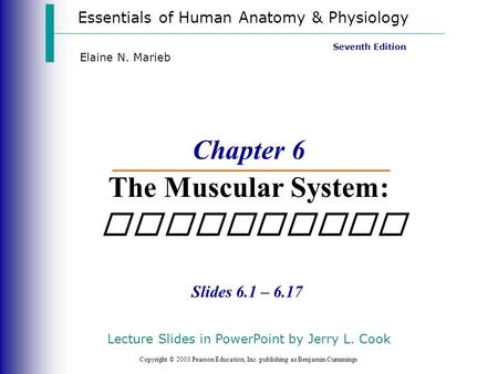 Essentials of Human Anatomy & Physiology Copyright © 2003 Pearson Education, Inc. publishing as Benjamin Cummings Slides 6.1 – 6.17 Seventh Edition Elaine.