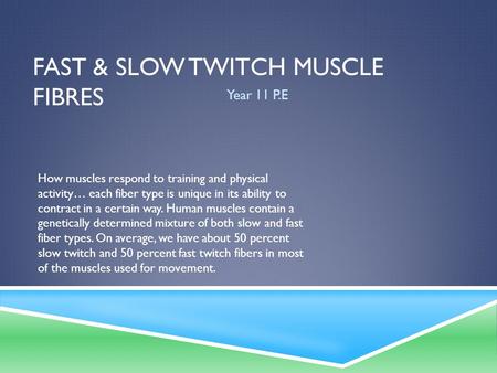Fast & Slow twitch muscle fibres