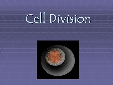 Cell Division.  Some cells divide constantly: cells in the embryo, skin cells, gut lining cells, etc. Epithelial Cell Intestinal Cell 7 week old embryo.