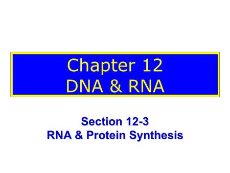 Section 12-3 RNA & Protein Synthesis
