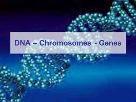 DNA – Chromosomes - Genes. DNA DNA: the chemical inside the nucleus of a cell that carries the genetic instructions for making living organisms. The material.