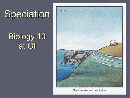 Speciation Biology 10 at GI Biology 11. Speciation  The development of a new species  Usually the result of reproductive isolation How does this occur?