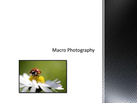 When shooting macro photography, it is important to remember that because of a shallow depth of field, clear focus is very important. Use of a.