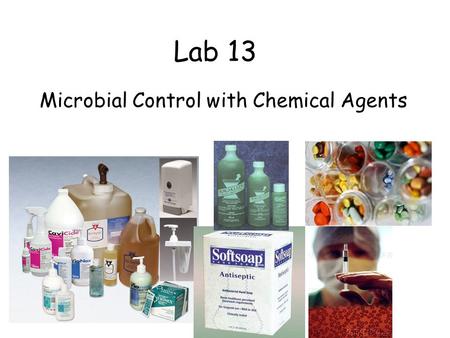 Lab 13 Microbial Control with Chemical Agents. Staphylococcus aureus 1 2 3 4 Escherichia coli Do all disinfectants and antiseptics work equally well against.