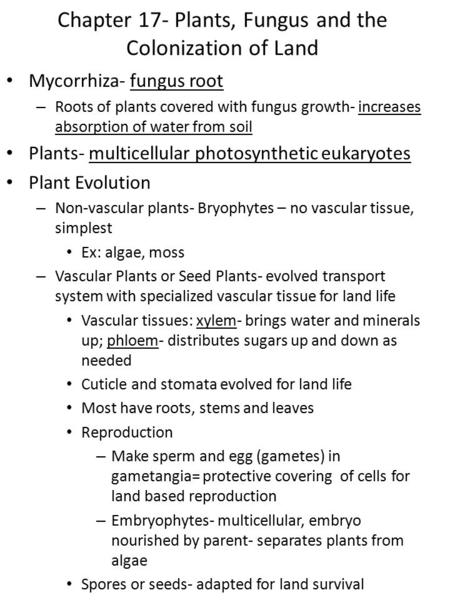 Chapter 17- Plants, Fungus and the Colonization of Land Mycorrhiza- fungus root – Roots of plants covered with fungus growth- increases absorption of water.