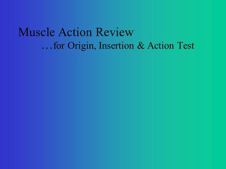 Muscle Action Review … for Origin, Insertion & Action Test.