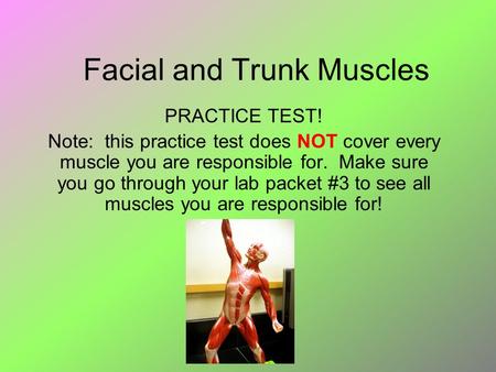 Facial and Trunk Muscles PRACTICE TEST! Note: this practice test does NOT cover every muscle you are responsible for. Make sure you go through your lab.