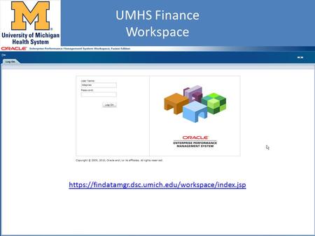 UMHS Finance Workspace https://findatamgr.dsc.umich.edu/workspace/index.jsp.
