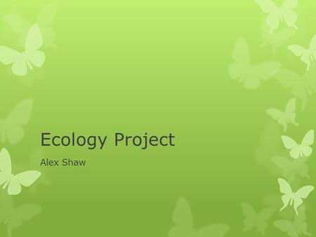 Ecology Project Alex Shaw. Ecosystem Engineers  Cause physical changes to their environment for own needs  By behavior, or large collective biomass.