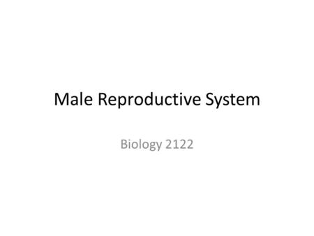 Male Reproductive System Biology 2122. Introduction 1. Primary sex organ (gonads) are the testes 2. Testes produce sperm via ‘spermatogenesis’ – Meiosis.