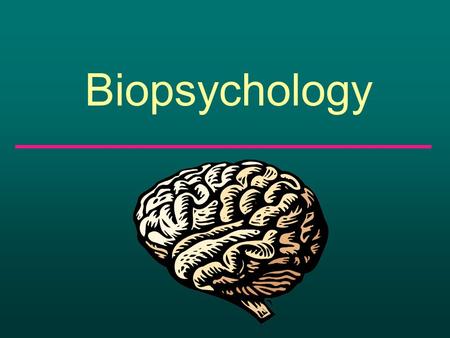 Biopsychology. What makes you, you? What makes you unique from every other person?