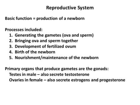 Reproductive System Basic function = production of a newborn Processes included: 1. Generating the gametes (ova and sperm) 2. Bringing ova and sperm together.
