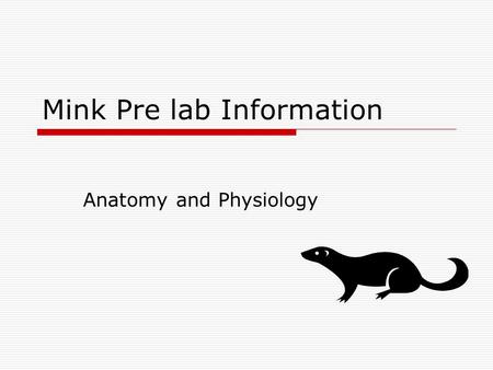 Mink Pre lab Information