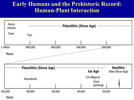 Early Humans and the Prehistoric Record: Human-Plant Interaction
